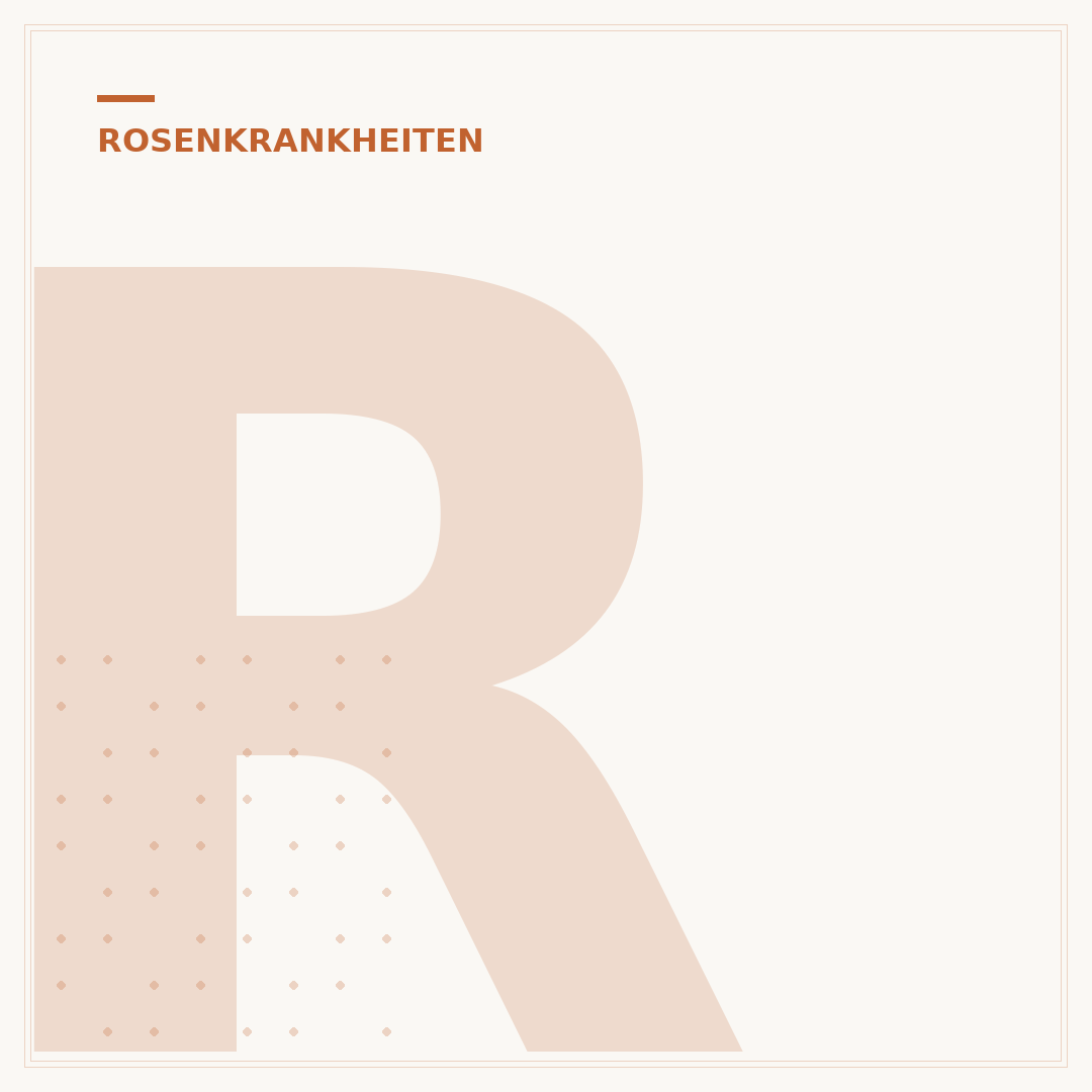 Rosen: Gelbe Blätter bei zu viel Wasser erkennen & beheben
