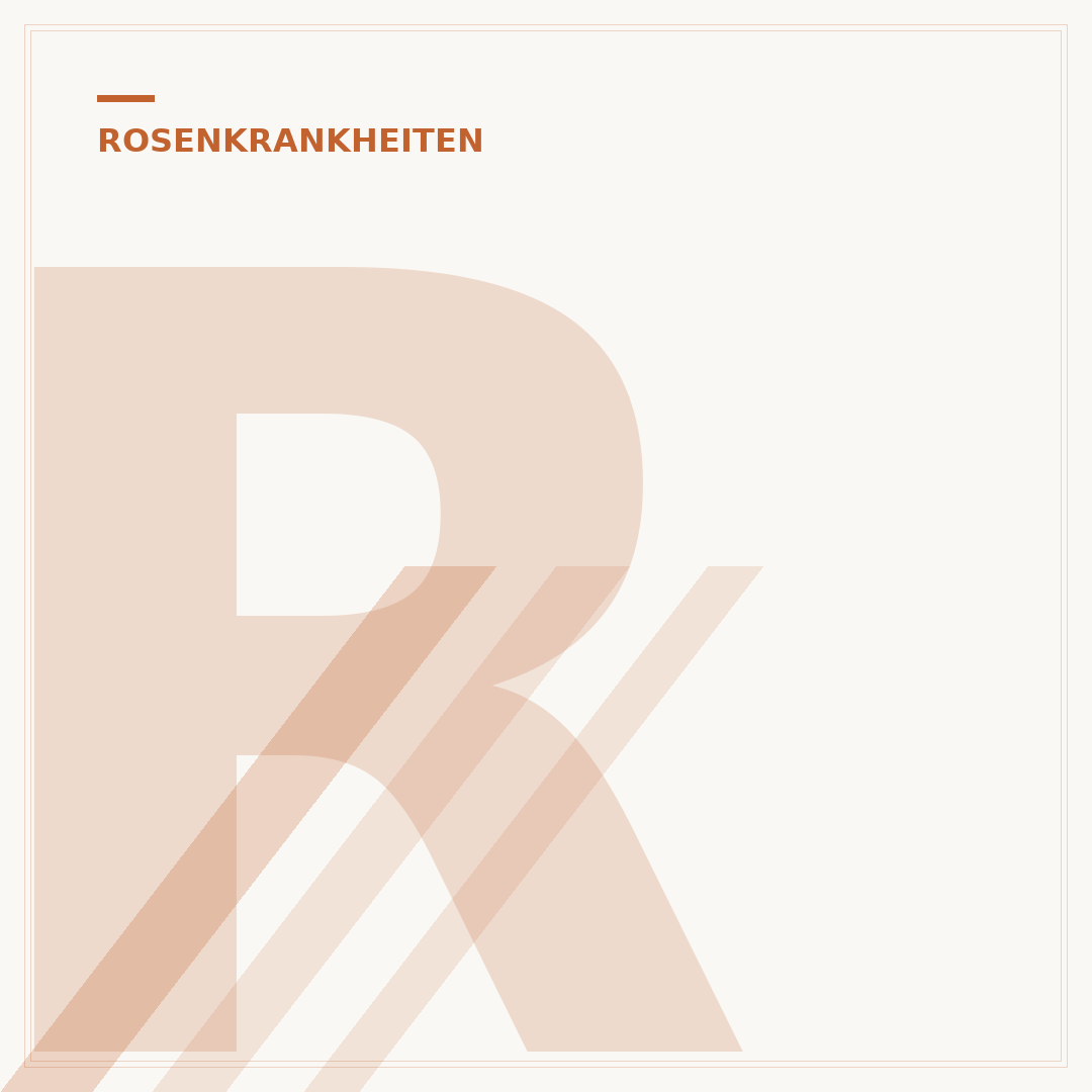 Rosen Läuse Kaffee: Natürliche Hilfe gegen Schädlinge
