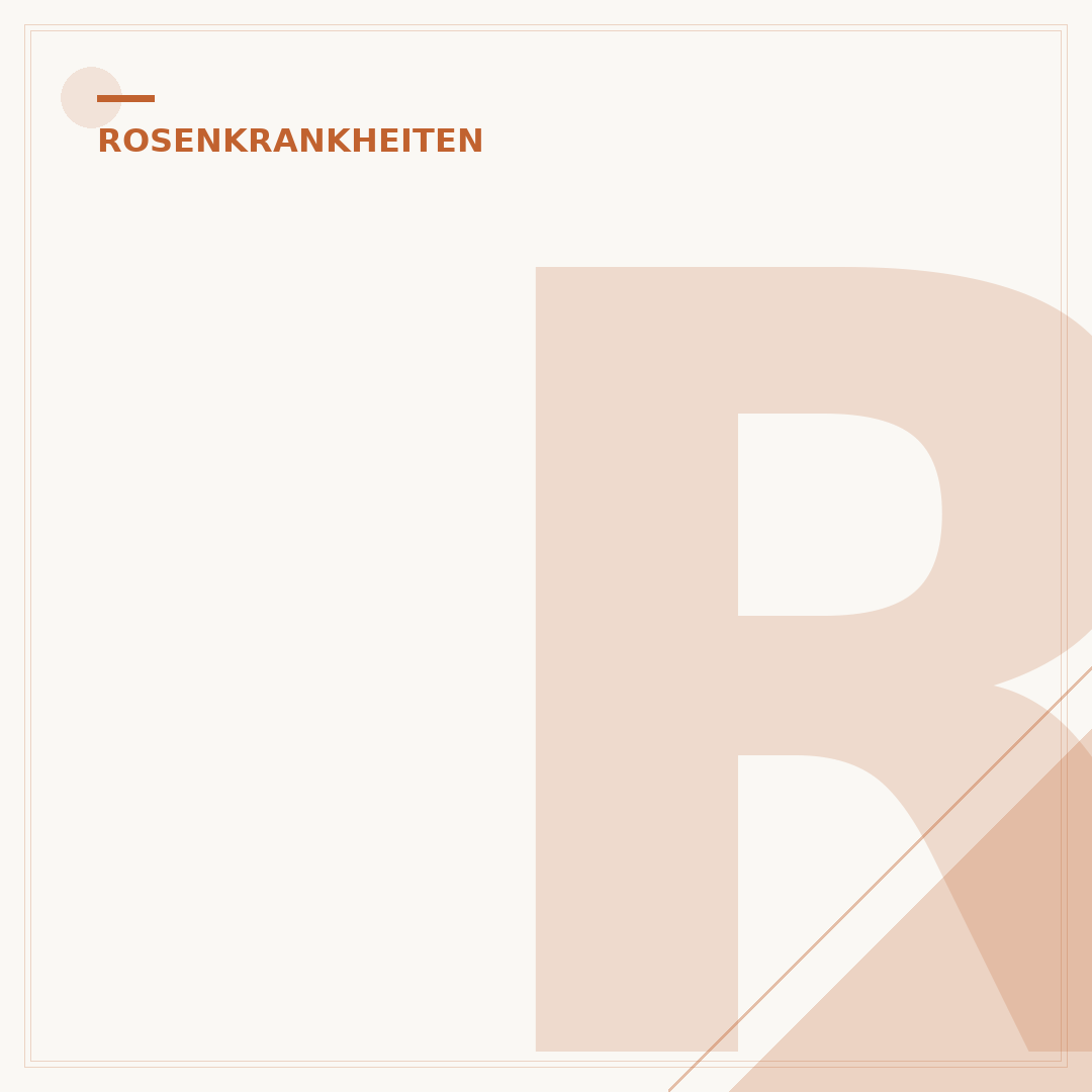 Rosen Rost: Ursachen, Symptome und effektive Bekämpfung