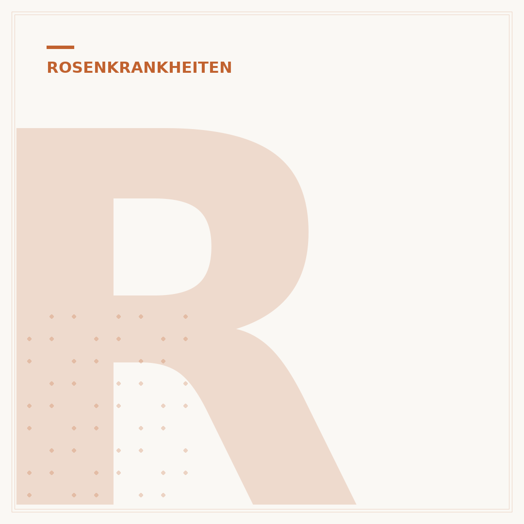 Rosen Schädlinge: Hausmittel für gesunde Pflanzen