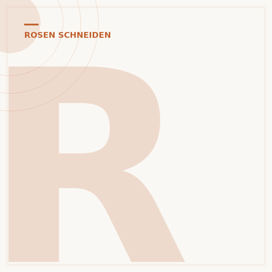 Rosen schneiden für den Winter
