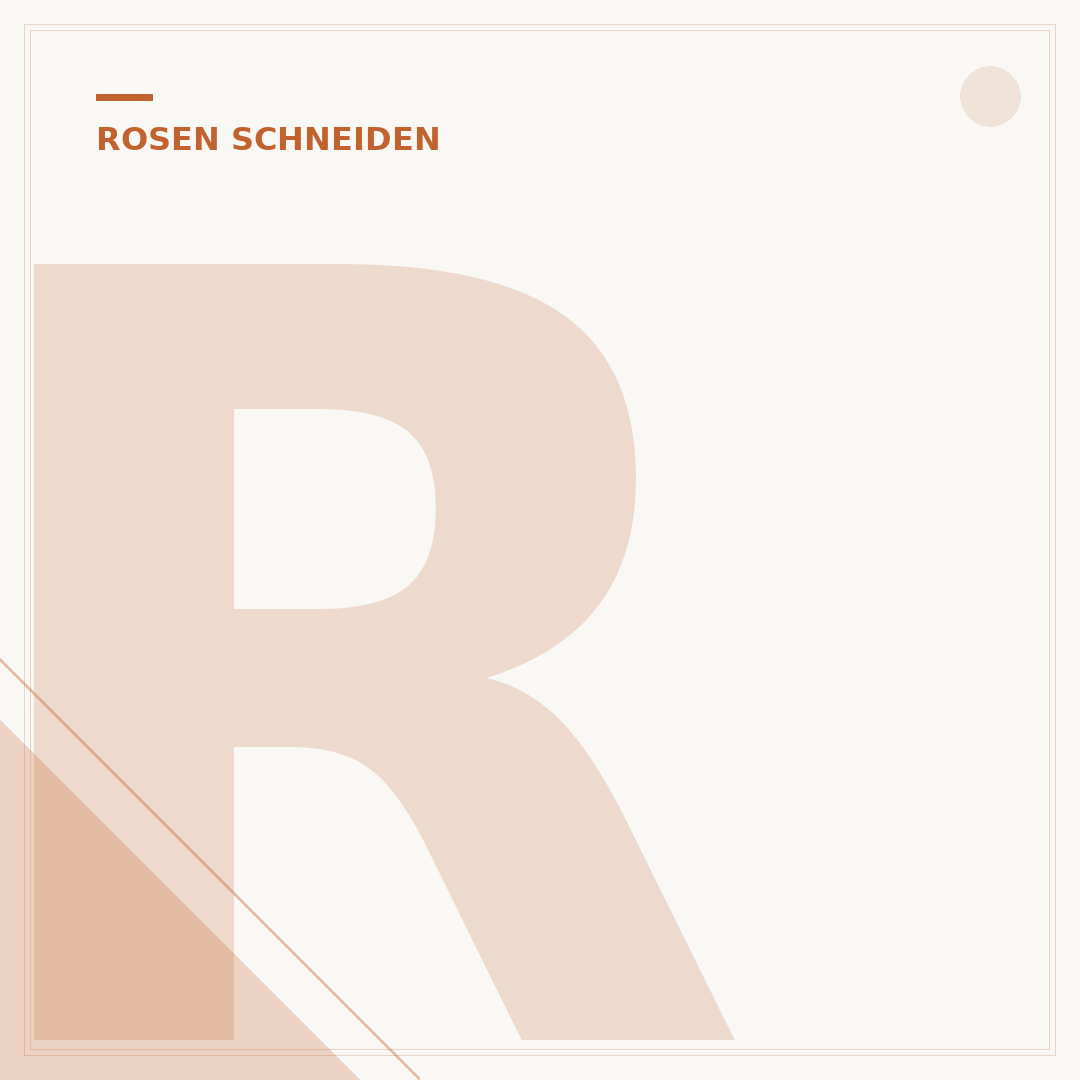 Rosen verschneiden im Herbst: So bereiten Sie Ihre Rosen vor