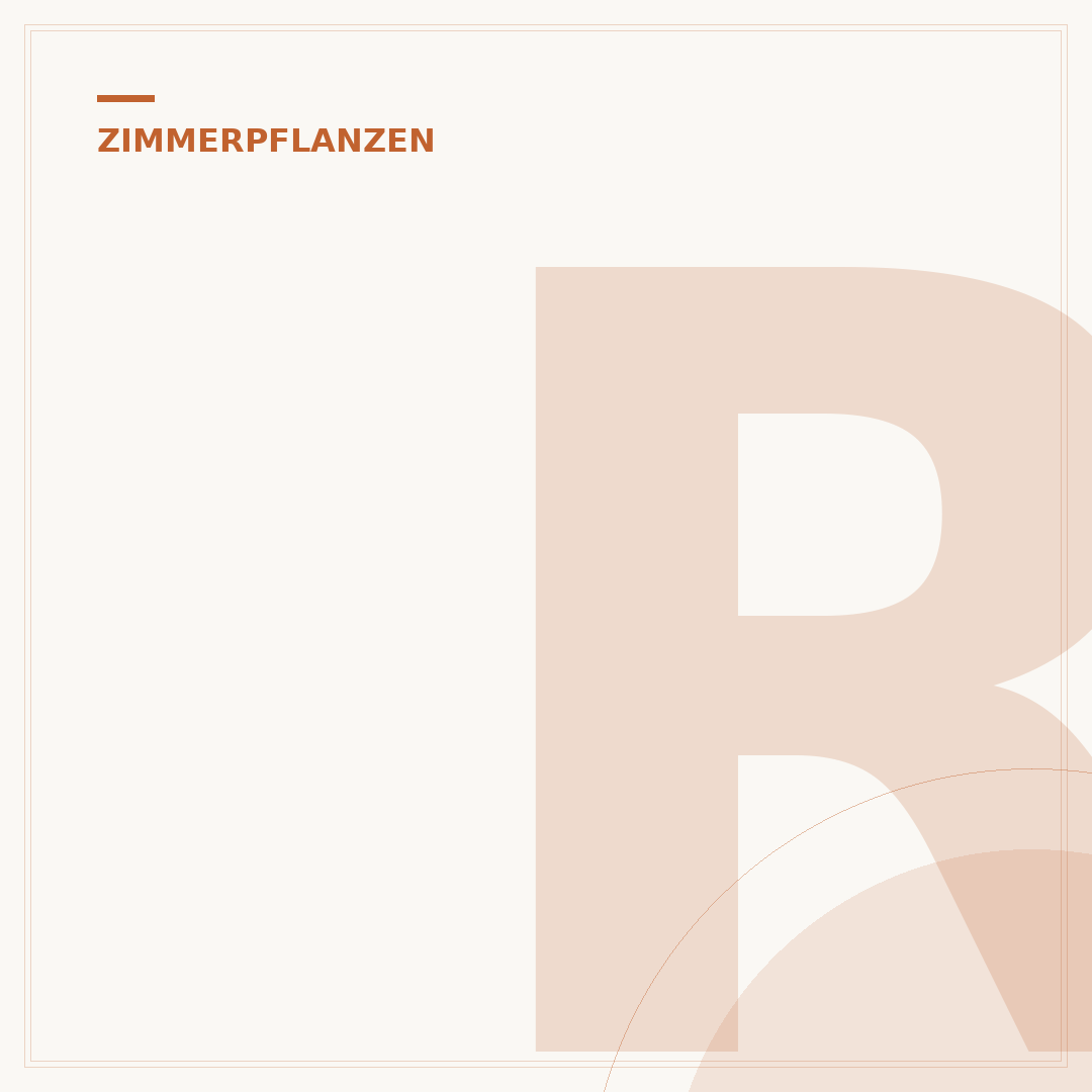 Rot blühende Zimmerpflanzen