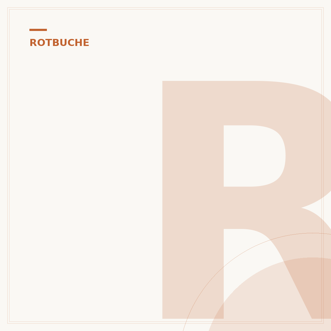 Rotbuche Frucht: Was sie ist und welche Bedeutung sie hat