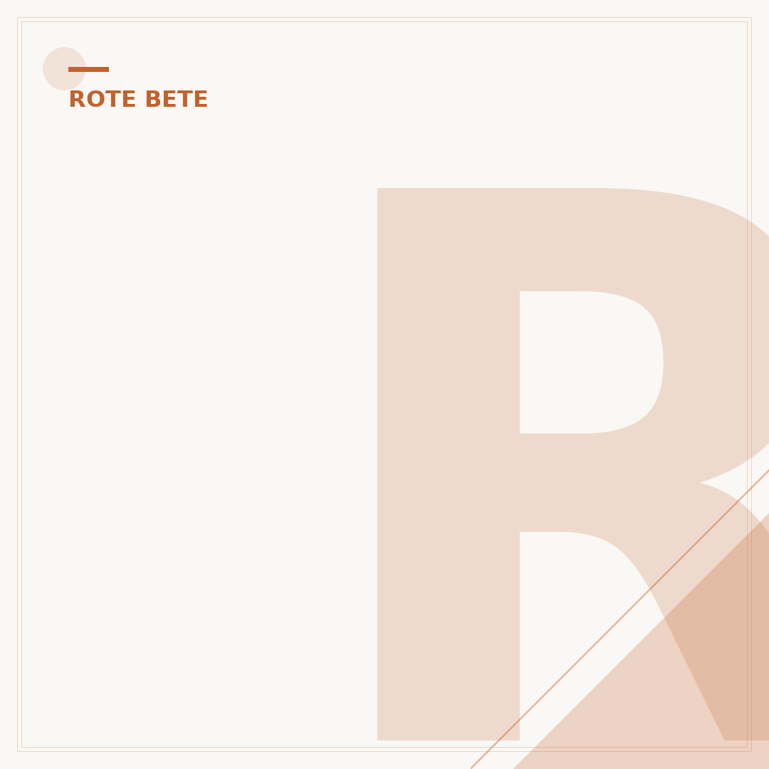 Rote Bete ernten