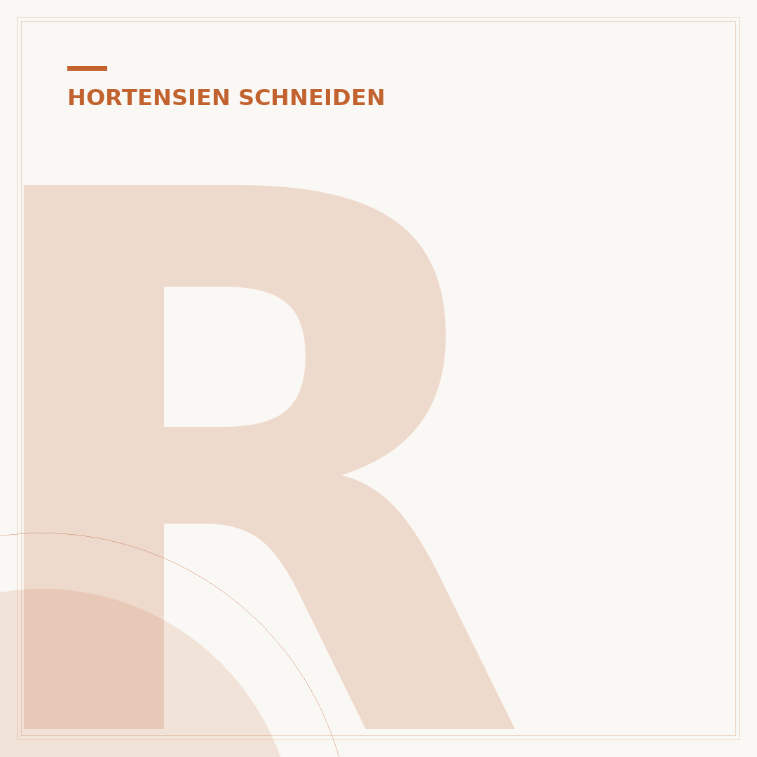 Rückschnitt bei Hortensien: Wann und wie schneiden?