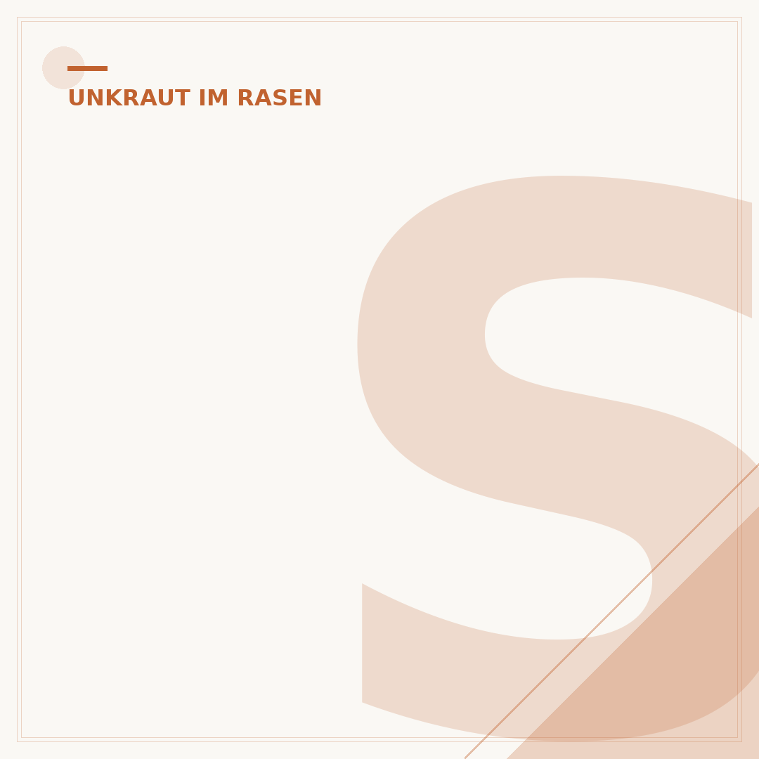 Sauerklee im Rasen bekämpfen
