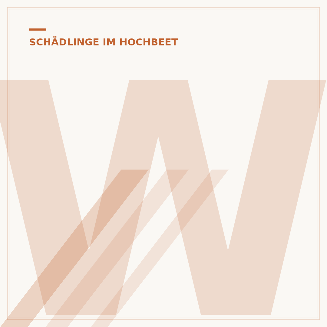 Was hilft gegen Schnecken im Hochbeet?