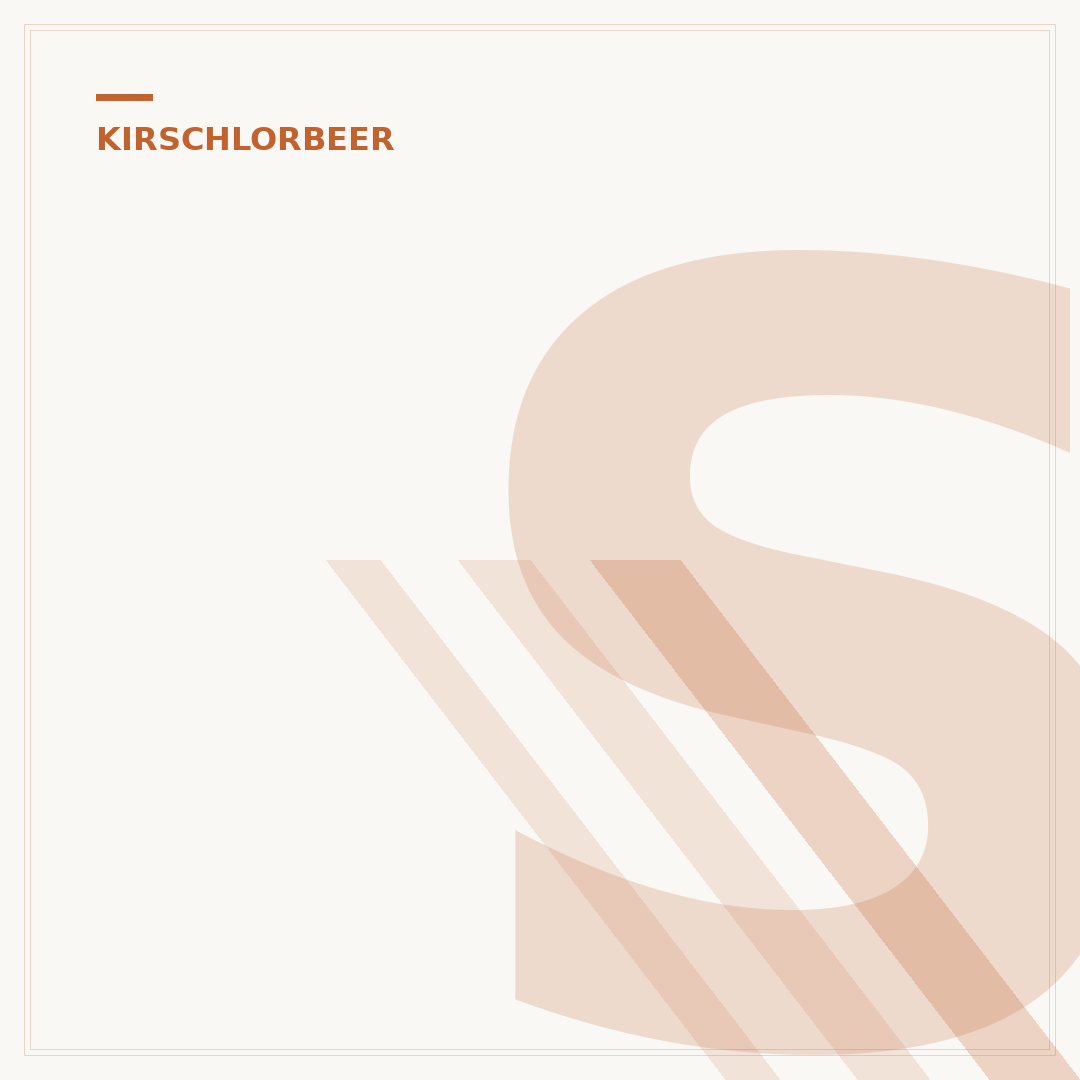 Schrotschusskrankheit am Kirschlorbeer