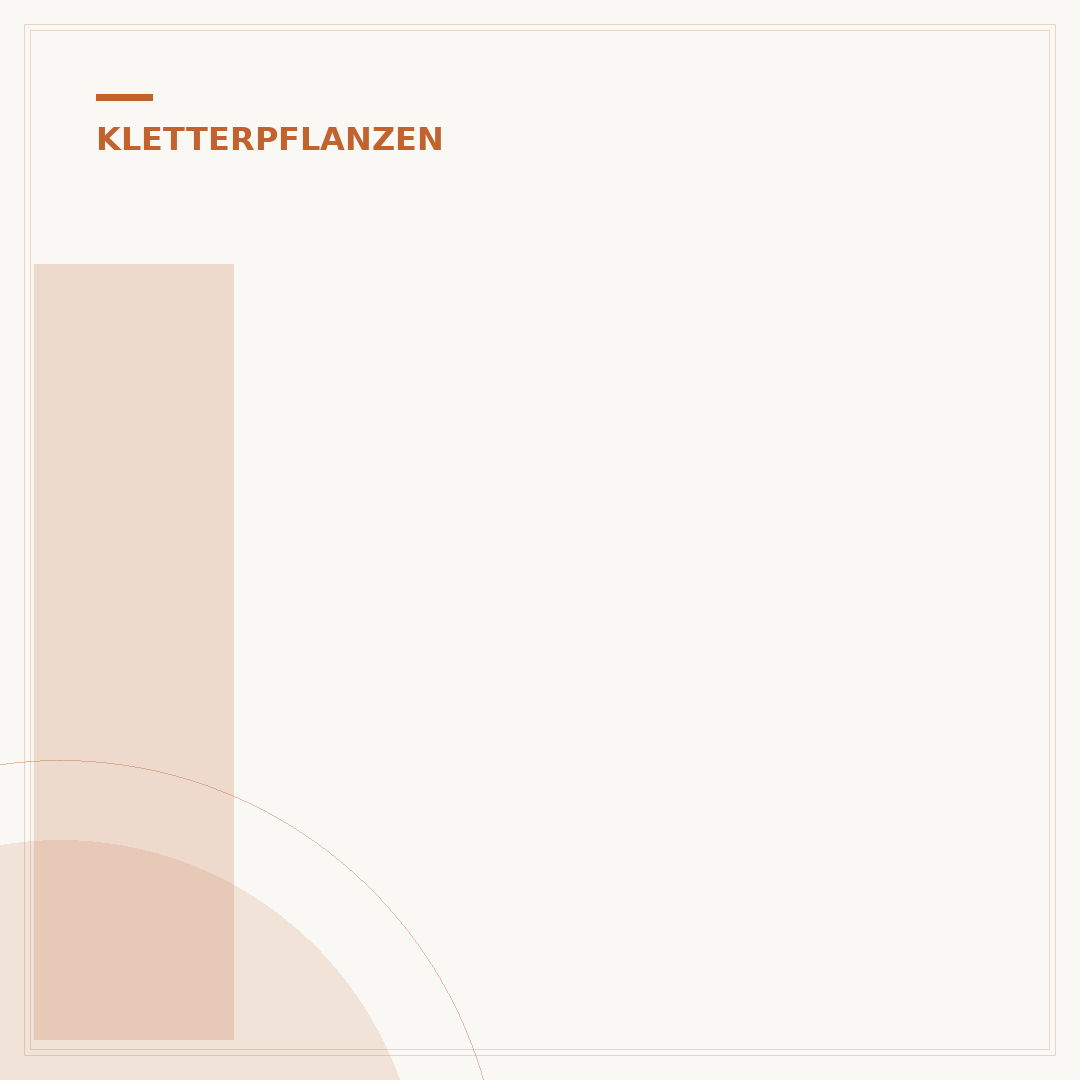 Immergrüne Kletterpflanzen für Sichtschutz: Die Wahl
