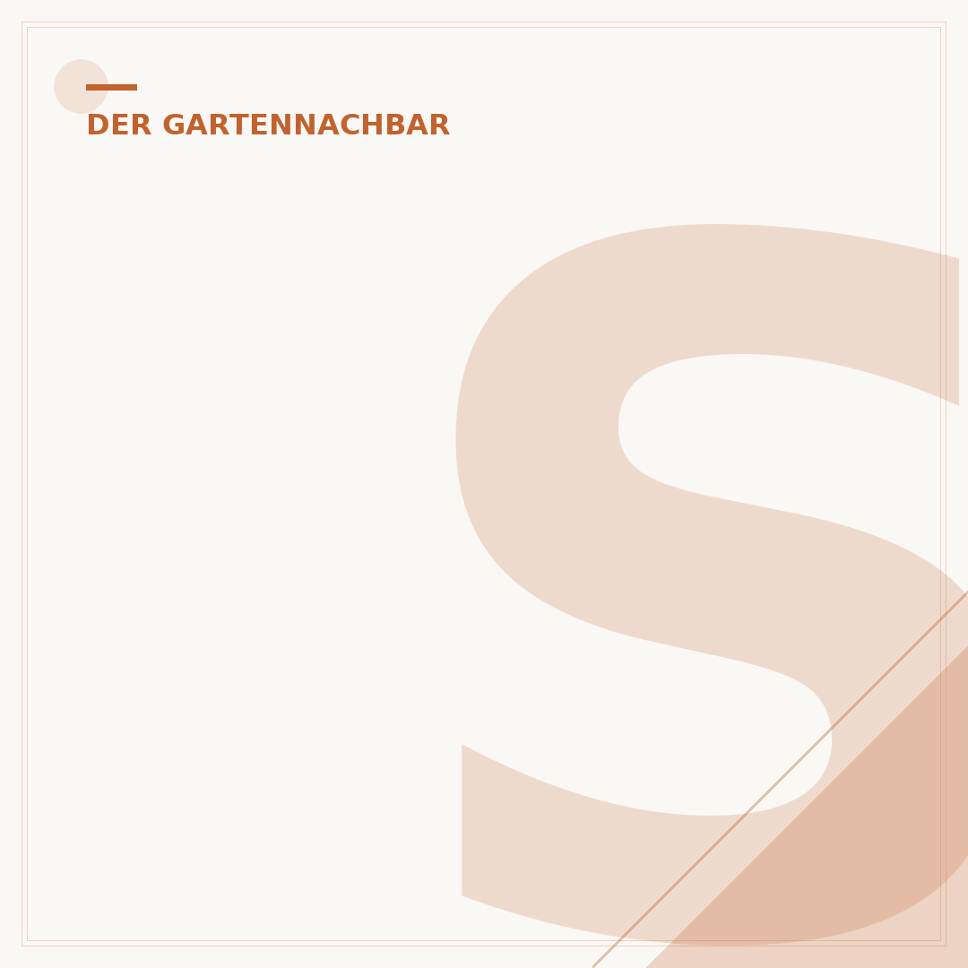 Spareribs auf dem Gasgrill