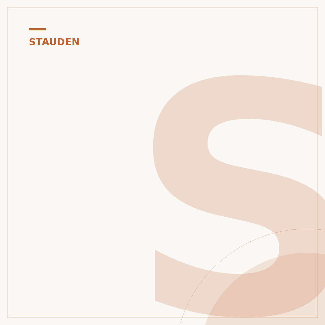 Stauden zurückschneiden
