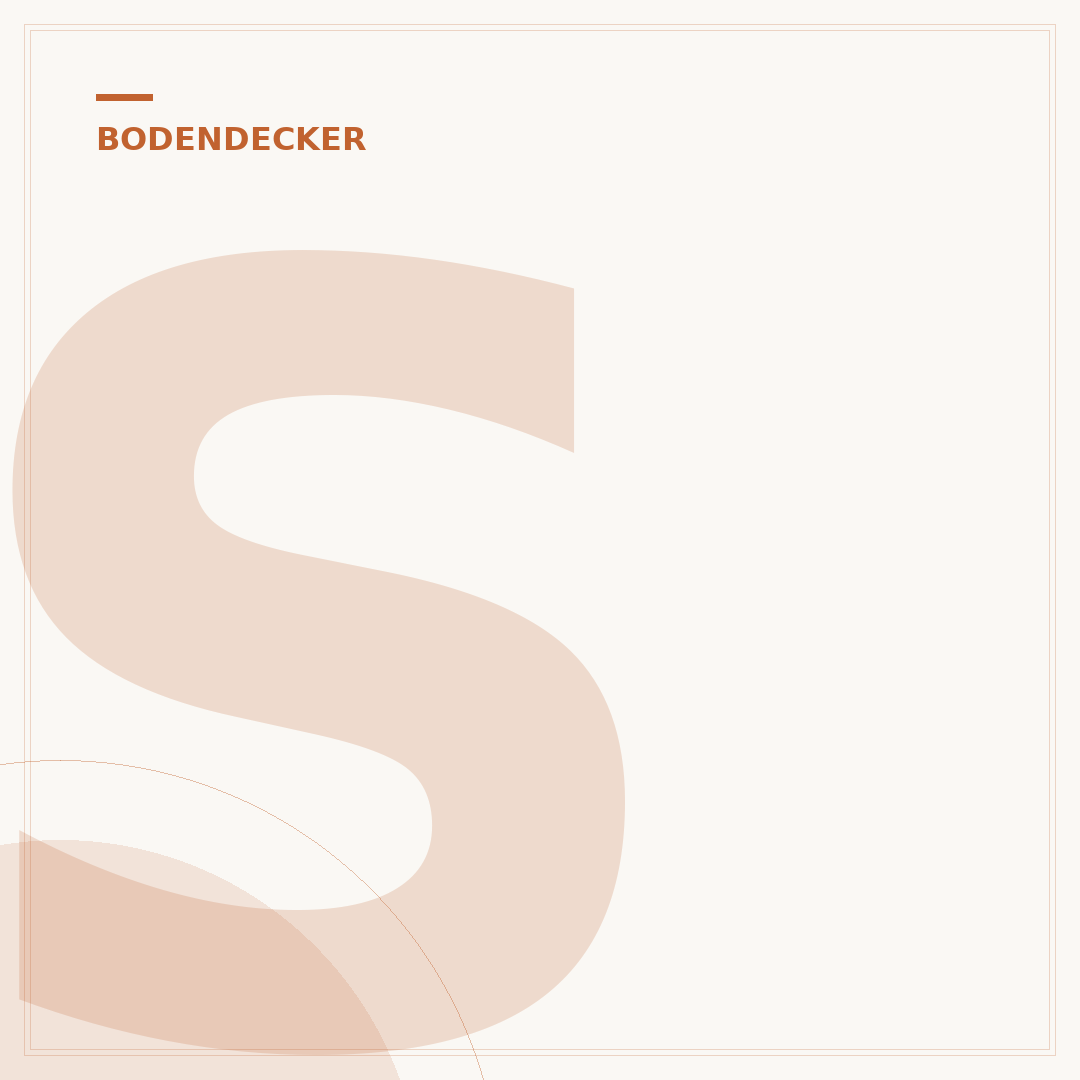 Storchenschnabel als Bodendecker