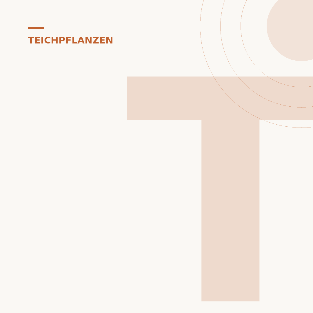 Teichpflanzen gegen Algen