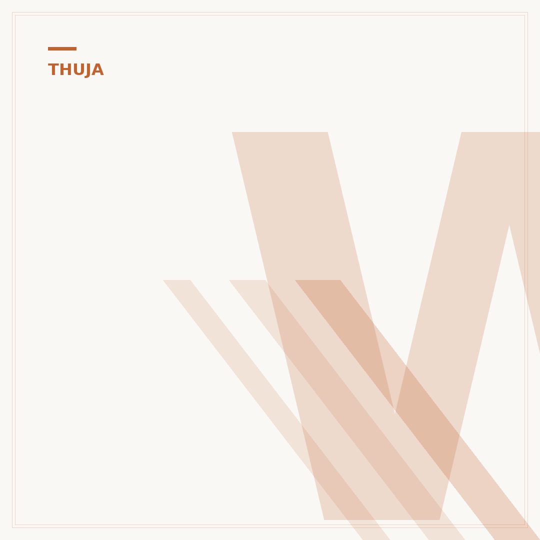 Wie hoch wird Thuja?