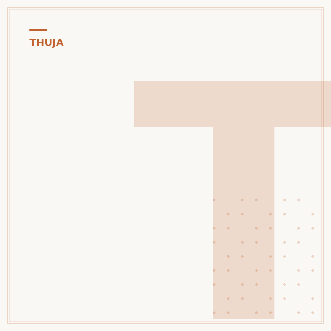 Thuja oder Zypresse