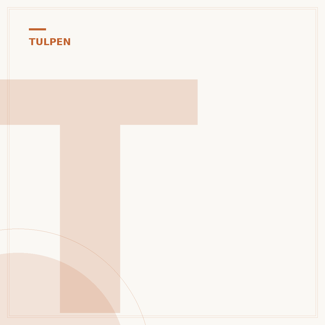 Tulpen nach der Blüte: Pflege für das nächste Jahr