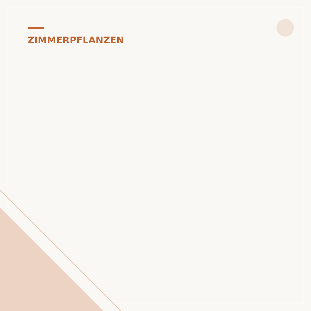 Übertöpfe für Zimmerpflanzen
