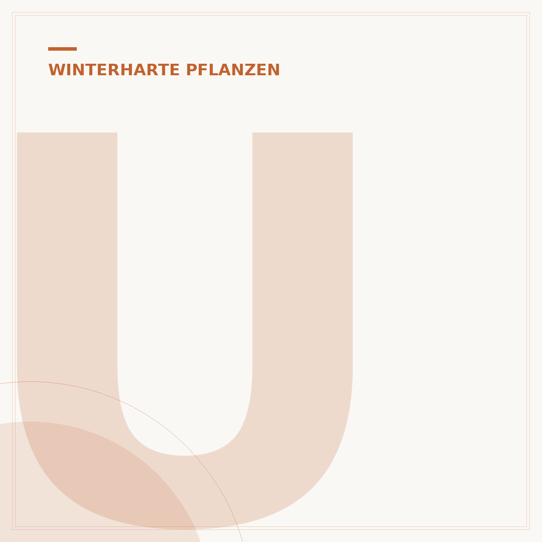 Ungiftige winterharte Pflanzen für Hunde: Sicherer Garten