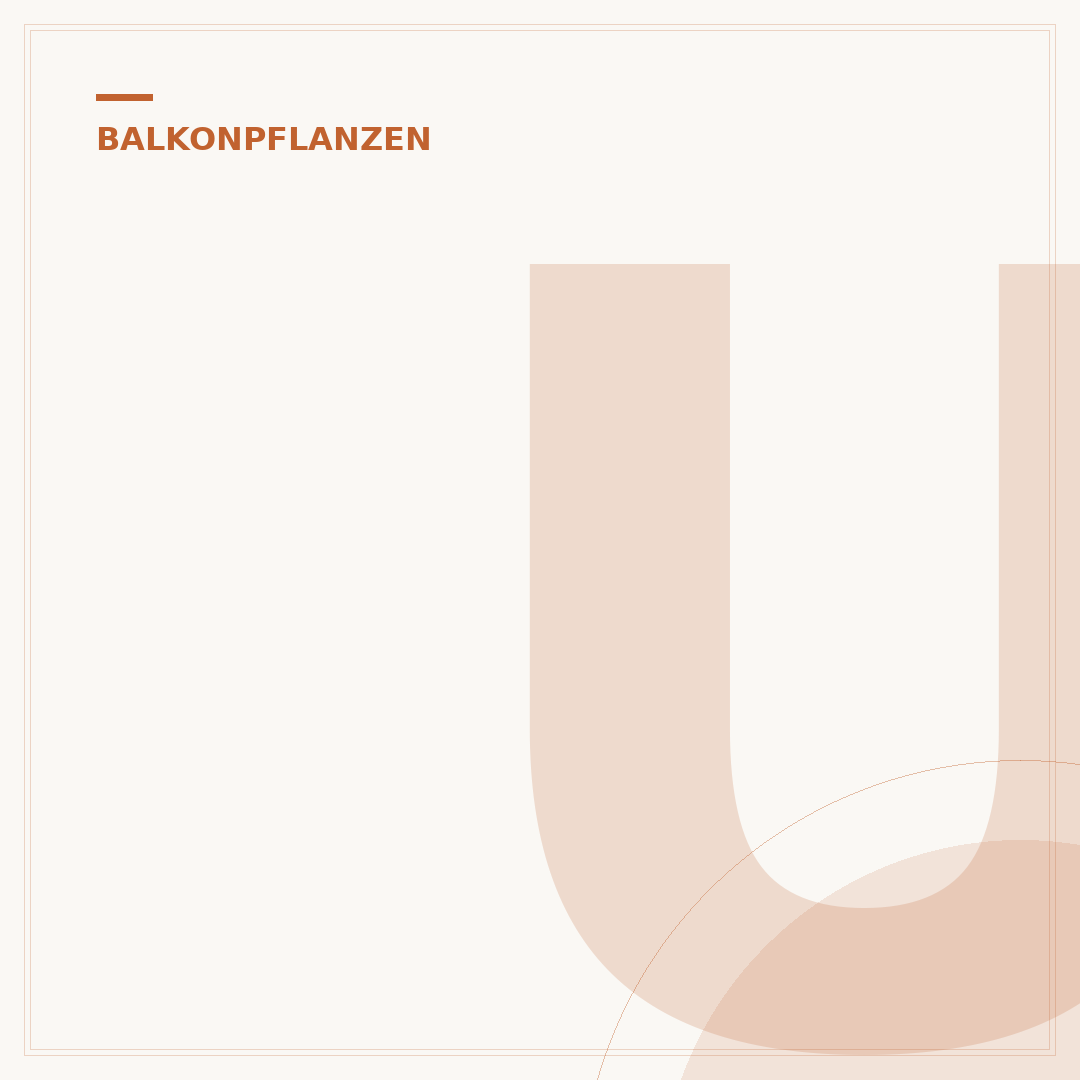 Unkomplizierte Balkonpflanzen für den Halbschatten