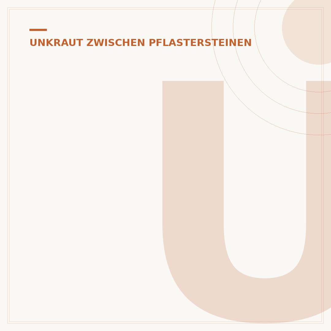 Unkraut zwischen Pflastersteinen: Frag Mutti gibt Rat