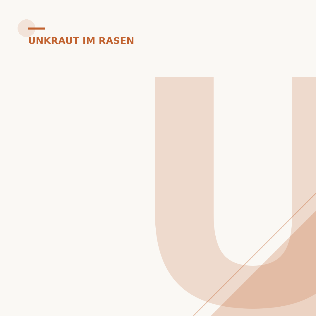 Unkraut im Rasen: Arten bestimmen und richtig handeln