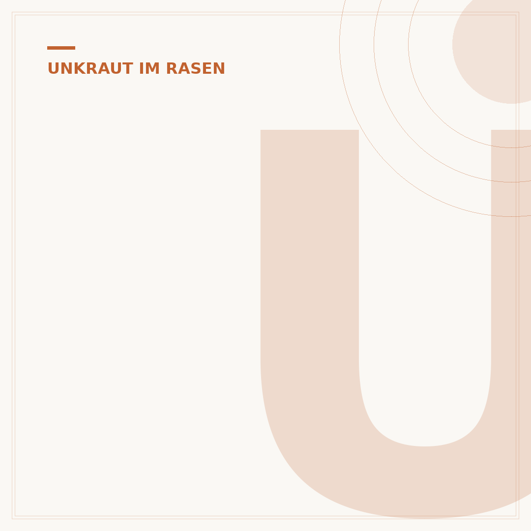 Unkraut auf dem Rasen entfernen