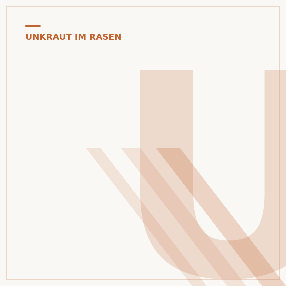 Unkraut aus dem Rasen entfernen