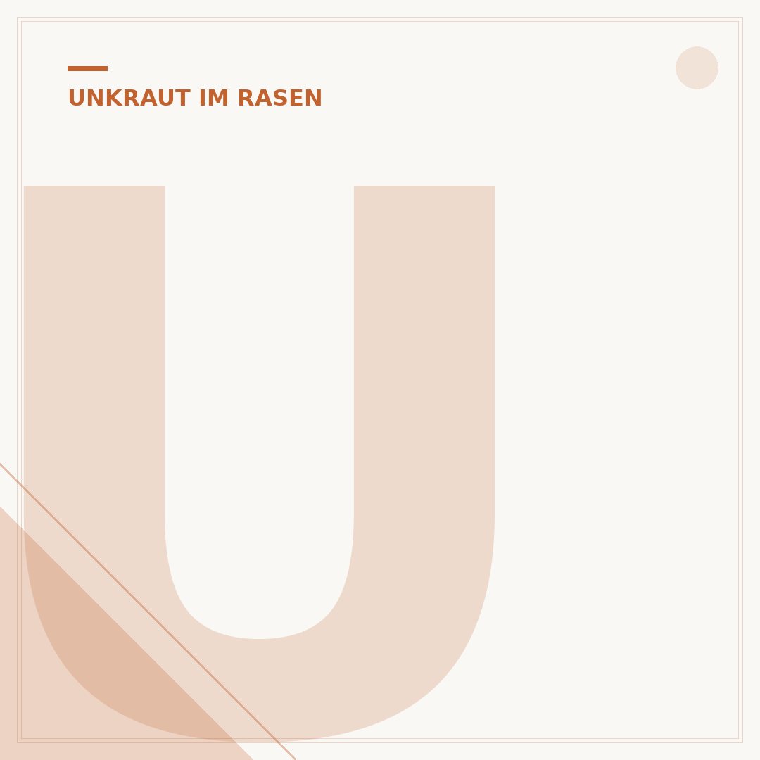 Unkraut auf dem Rasen vernichten