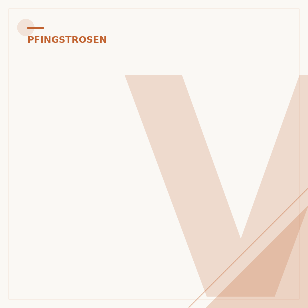 Verblühte Pfingstrosen abschneiden