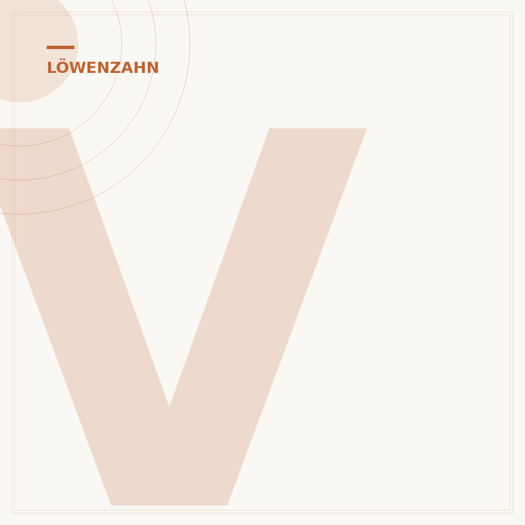 Volkstüml. Löwenzahn