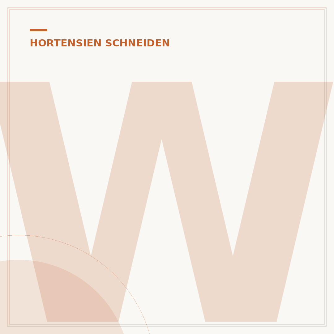 Wann schneide ich Hortensien?