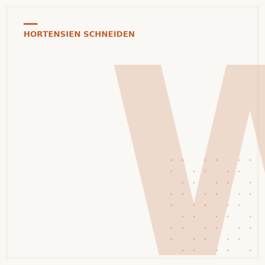Wann Hortensien zurückschneiden: Der ideale Zeitpunkt