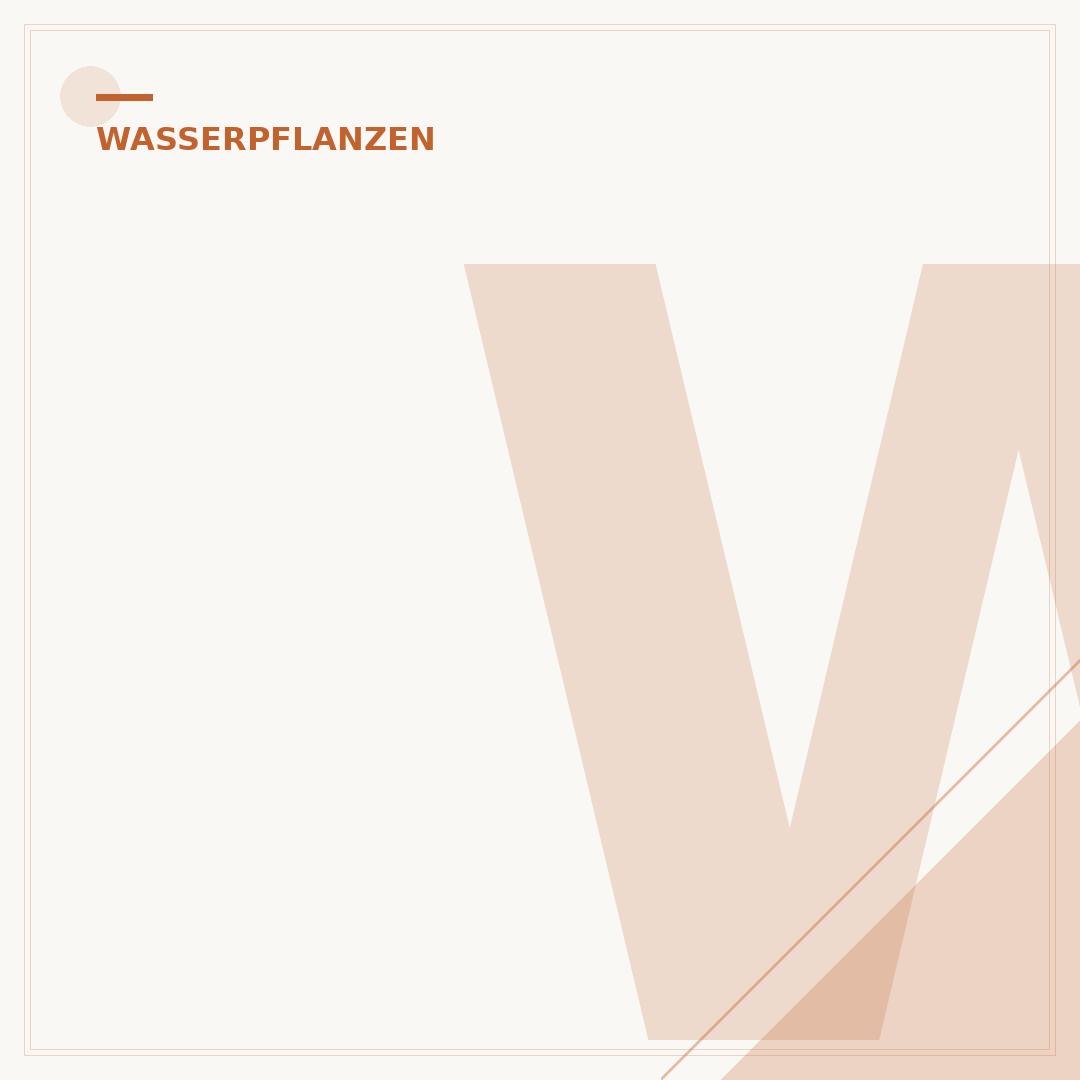 Wasserpflanzen für Miniteich: Auswahl, Pflege & Gestaltung