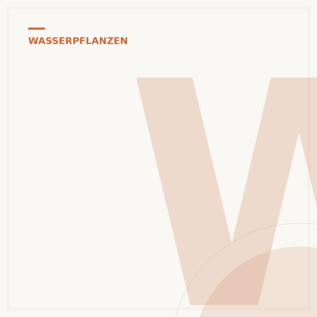 Wasserpflanzen für Aquarium und Teich