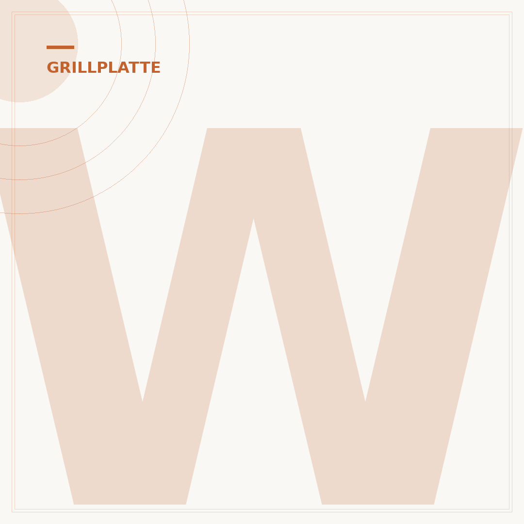 Weber Grillplatte Traveler: Mobiles Grillen neu definiert