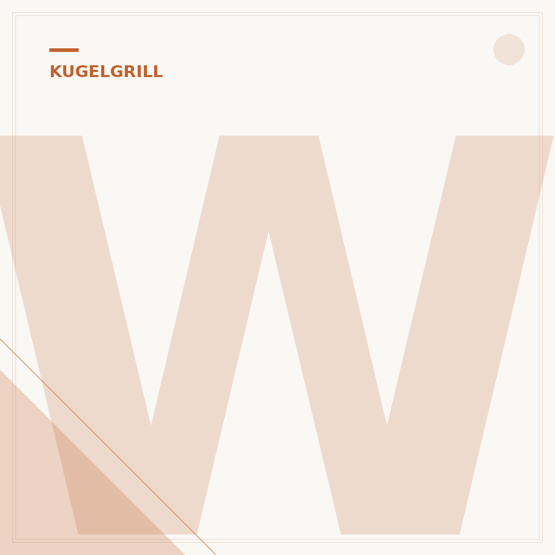 Weber Kugelgrill für Holzkohle
