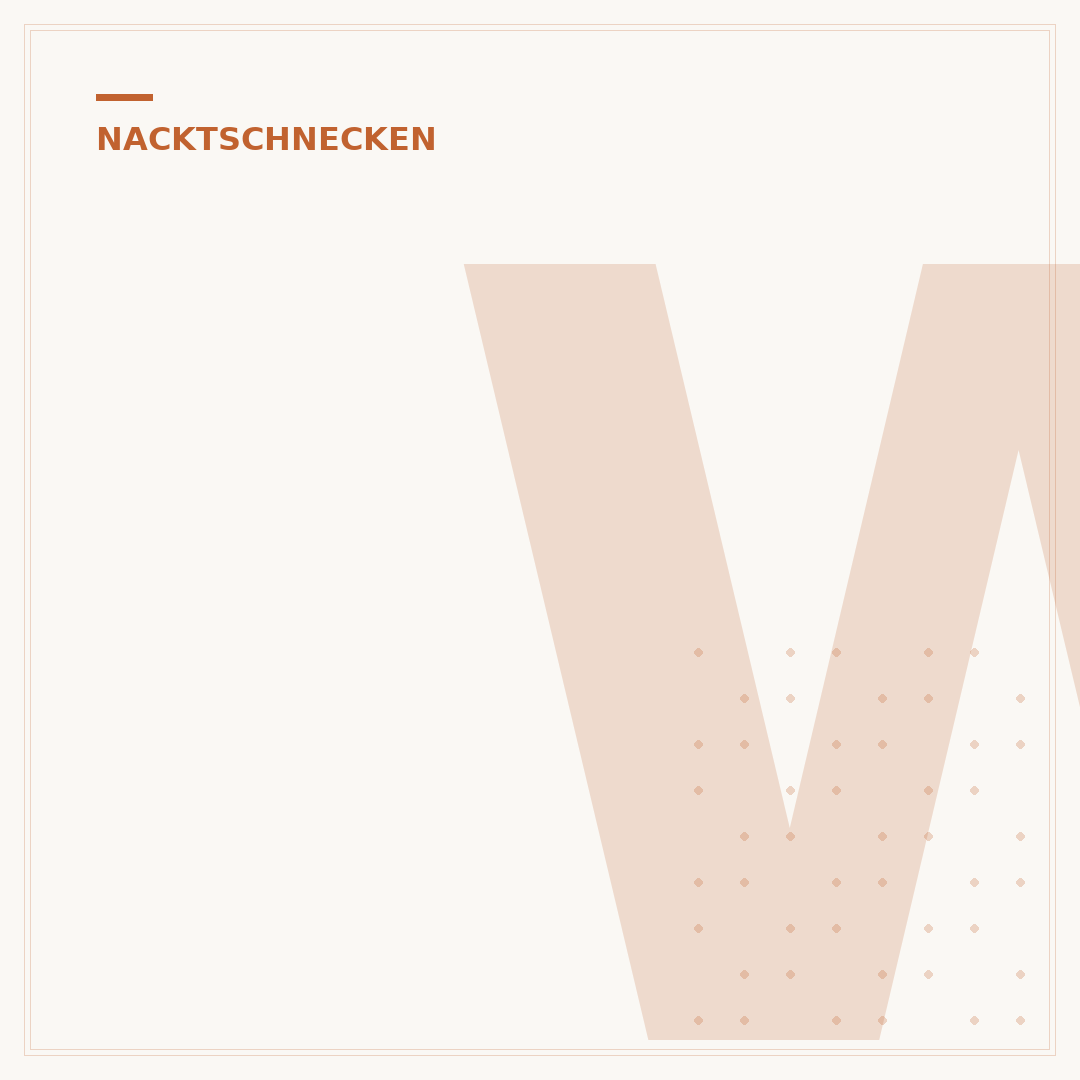 Wie vermehren sich Nacktschnecken: Der Fortpflanzungszyklus