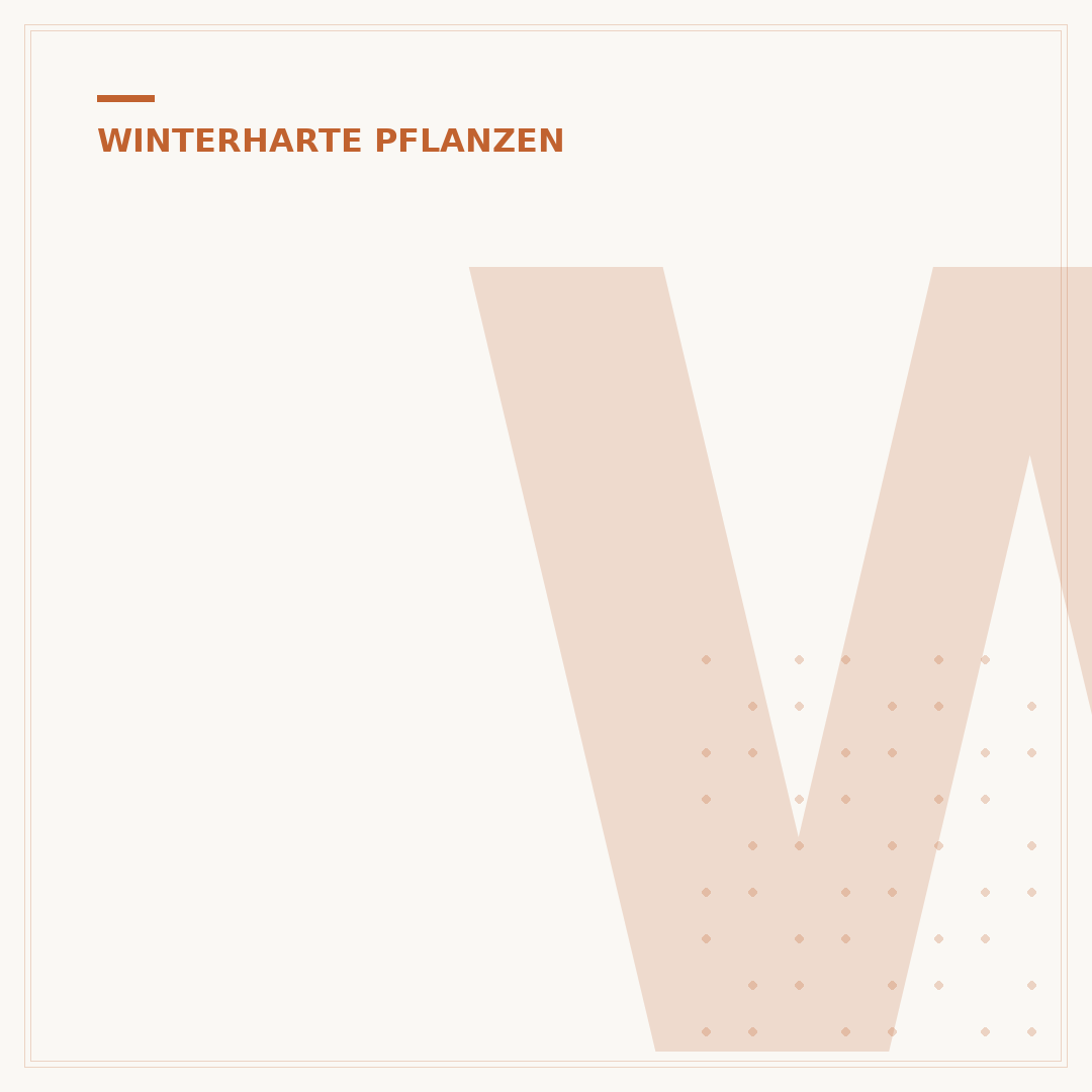 Winterharte Pflanzen für das Beet