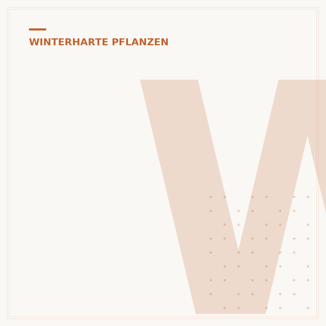 Winterharte Pflanzen vor der Haustür: Dauerhaft schön