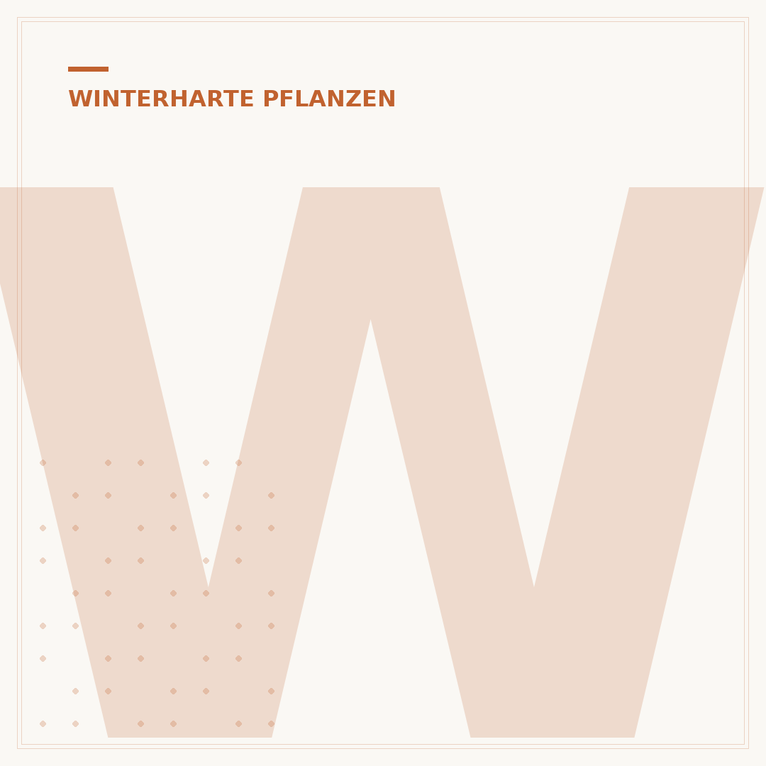 Winterharte Pflanzen für pralle Sonne
