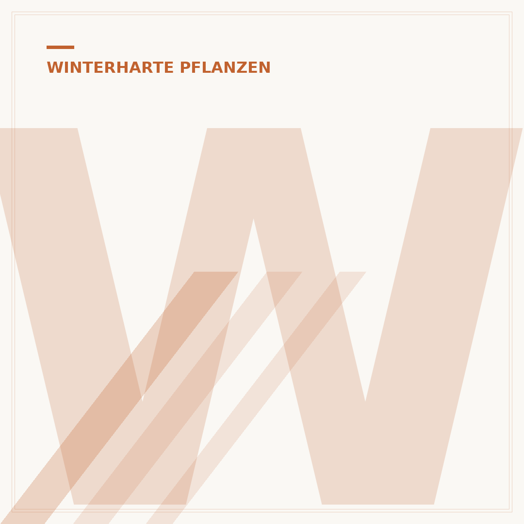 Winterharte Pflanzen für den Schatten