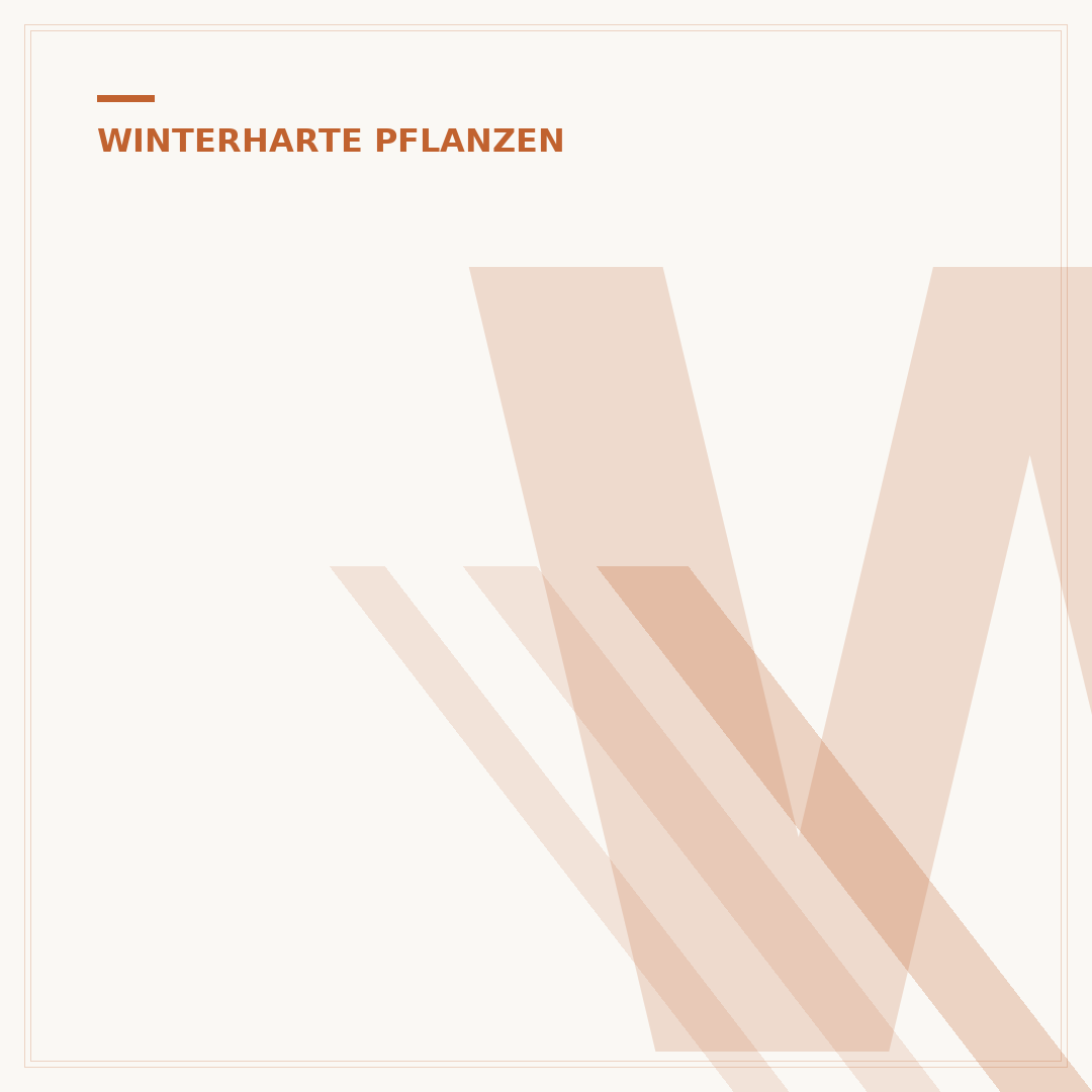 Winterharte Pflanzen als Sichtschutz