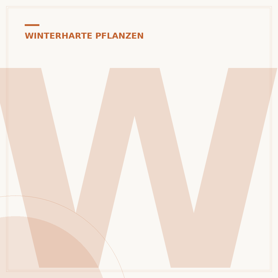 Winterharte Pflanzen für Tröge