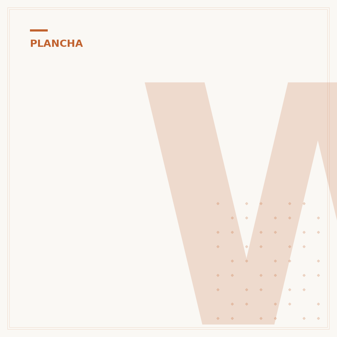 WMF Plancha Grill: Vielseitig grillen mit Präzision