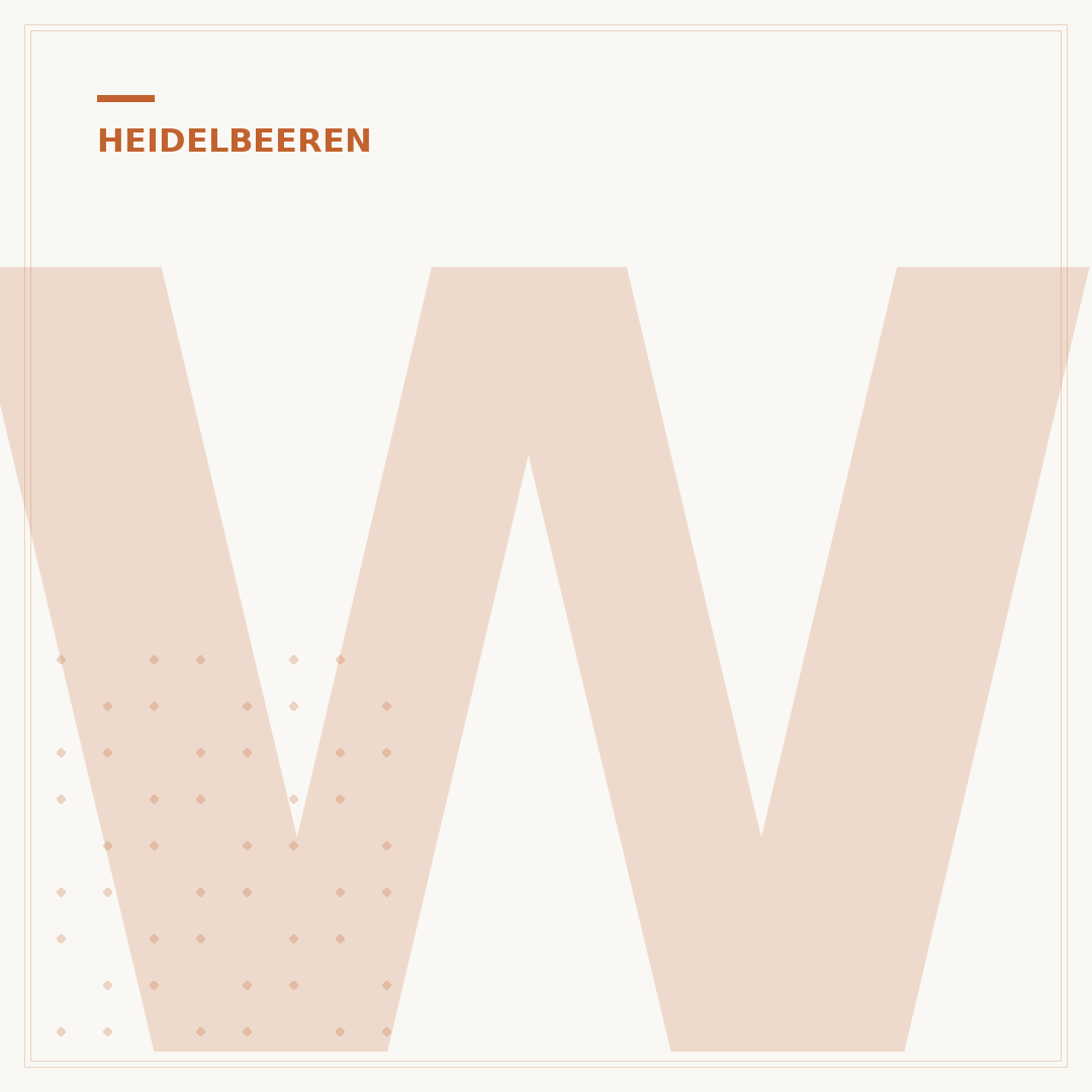 Wo wachsen Heidelbeeren? Der ideale Standort