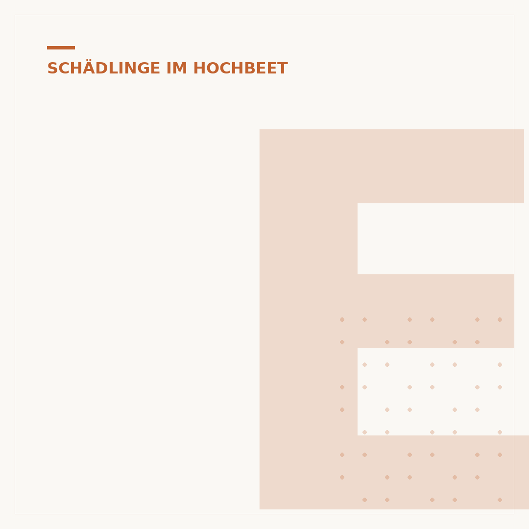 Engerlinge im Hochbeet: Woher kommen sie und was tun?
