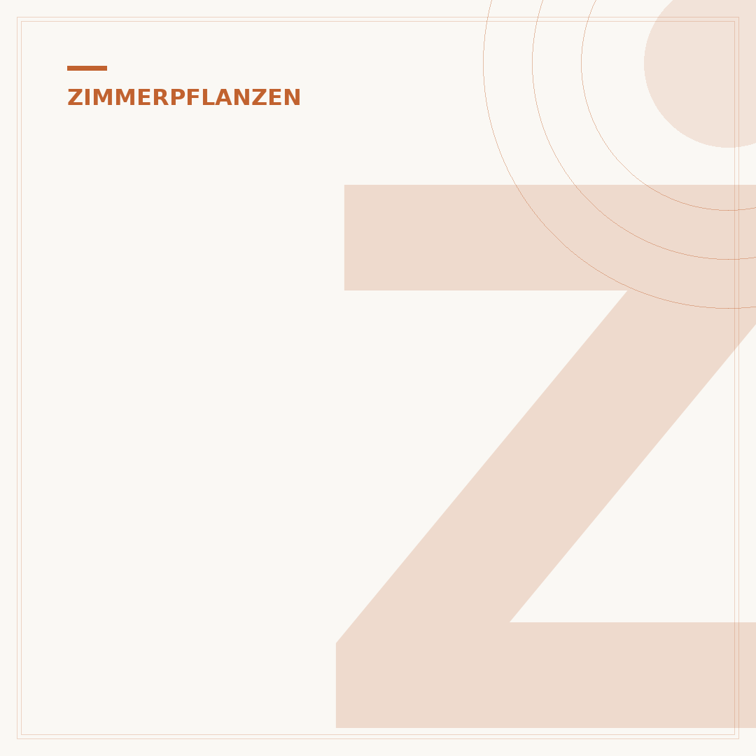Zimmerpflanzen Deko Ideen: Pflanzen stilvoll in Szene setzen