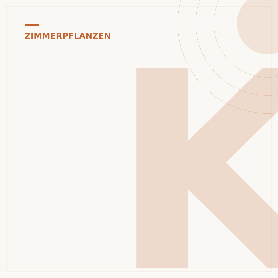 Kleine Zimmerpflanzen