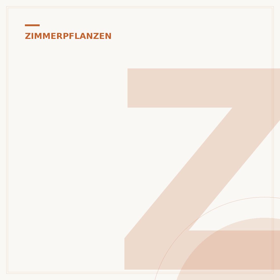 Zimmerpflanzen mit langen schmalen Blättern pflegen